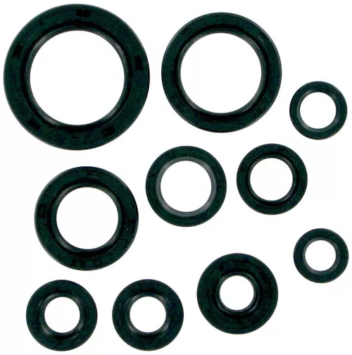 Moose Complete Engine Oil Seal Kit (M822107)