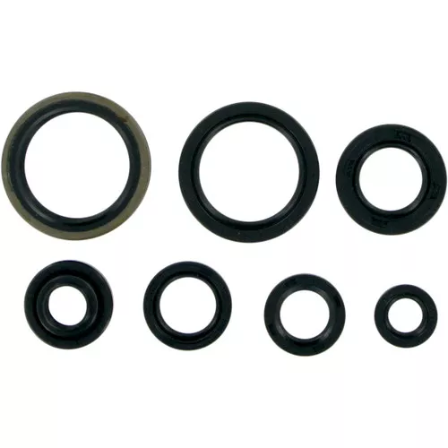 Moose Complete Engine Oil Seal Kit (M822124)