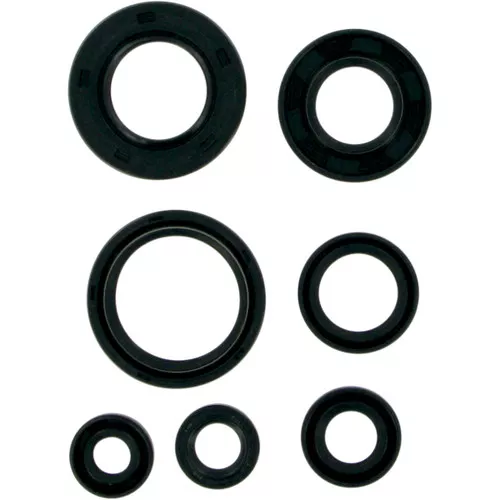 Moose Complete Engine Oil Seal Kit (M822153)