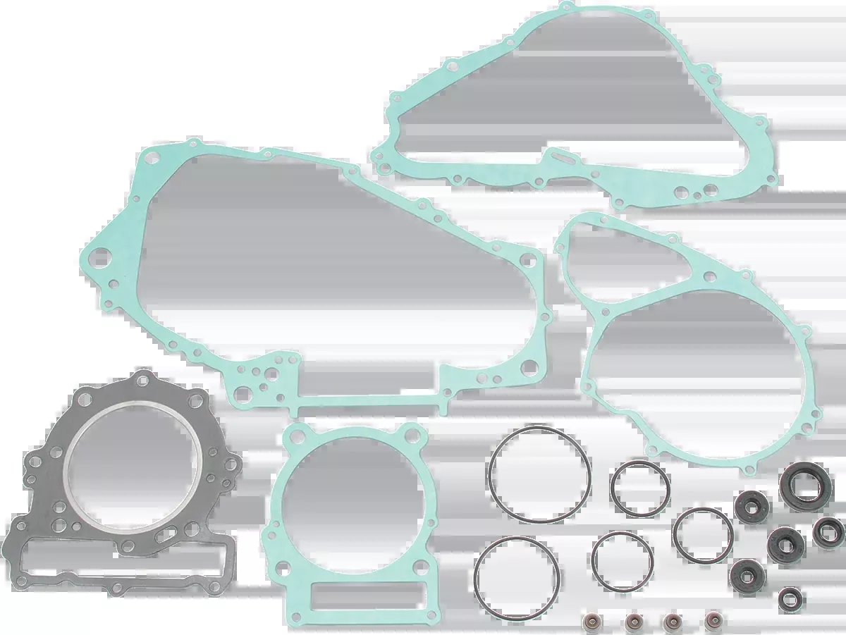 Moose Offroad Motor Gasket Kit with Oil Seal - Can-Am-811853mse
