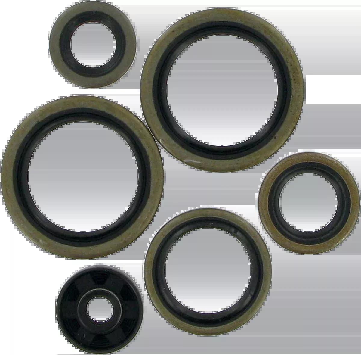 Moose Offroad Motor Oil Seals - Husqvarna/KTM-822187mse