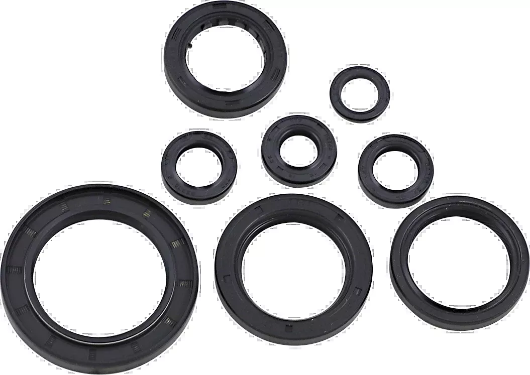 Moose Offroad Oil Seal Kit – Honda-822996mse