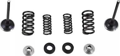 Moose Racing Exhaust Valve Kit-M30-33690