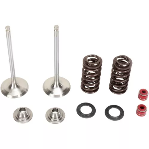 Moose Stainless Exhaust Valve & Spring Kit (0926-2460)