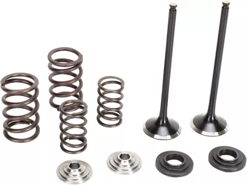 Moose Stainless Exhaust Valve & Spring Kit (0926-2468)