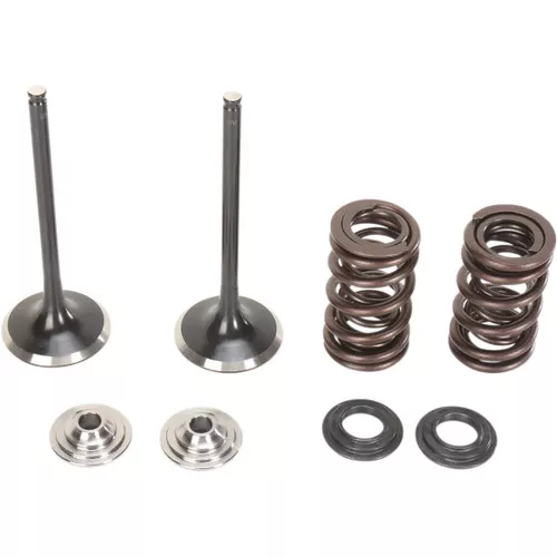 Moose Stainless Intake Valve & Spring Kit (0926-2449)