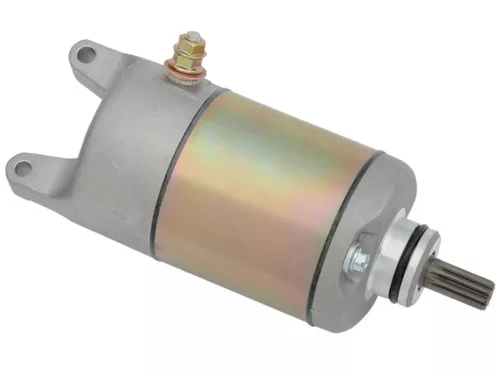 Moose Starter Motor (2110-0421)