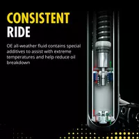 OESPECTRUM PREMIUM STRUT