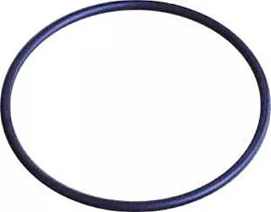 Omix-Ada 18760.37 Speedometer Gear O-Ring