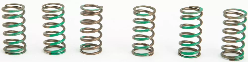 Pro Circuit High Performance Clutch Springs - CSK09065 Kawasaki KX 65 2002-2009
