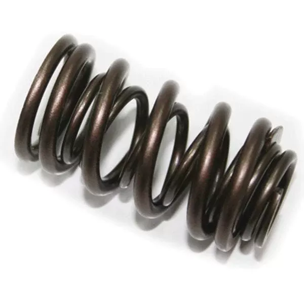 Psychic Exhaust Valve Spring (XU-09537ES)