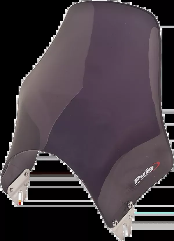 PUIG HI-Tech Parts Naked Windshield - Dark Smoke