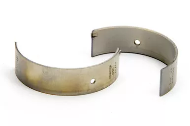 Rod Bearing CB-831P-20