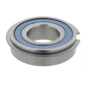 SEALED BEARING/SNAP RING