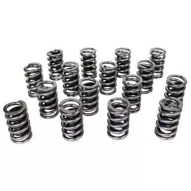 Single Valve Springs - 1.265 98215