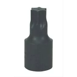 T45 TORX BIT