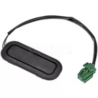 TAILGATE SWITCH