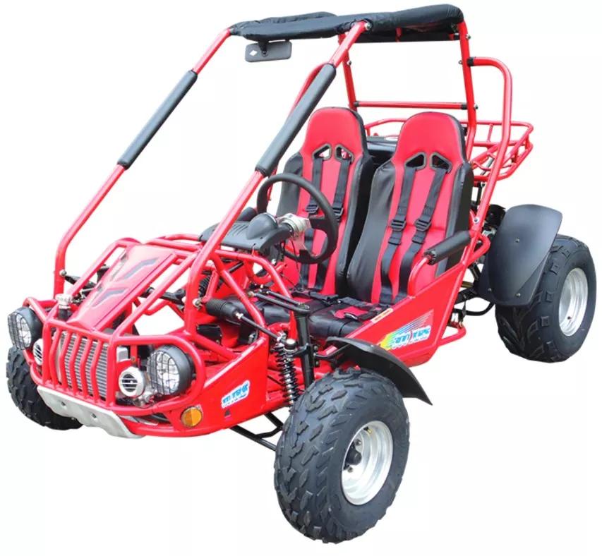 TrailMaster 300 XRS 2-Seat Go Kart | EFI