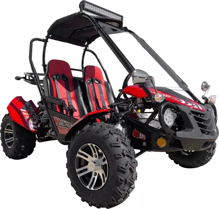 Trailmaster Blazer 200EX 2-Seat Go Kart | EFI