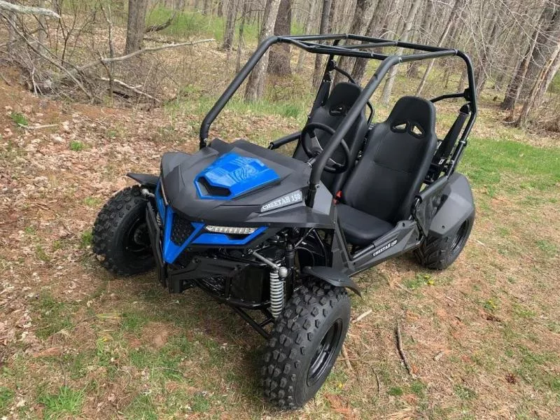 TrailMaster Cheetah 200 2-Seat UTV | EFI | 11 HP (169cc)