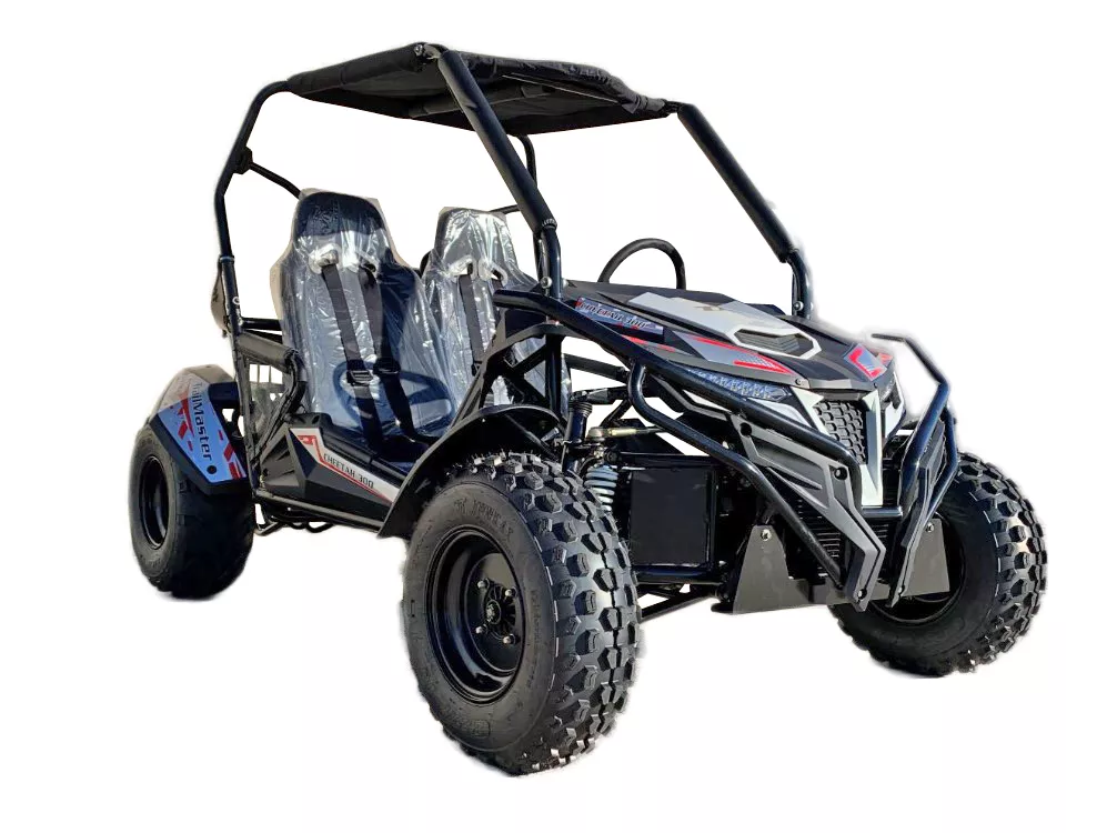 TrailMaster Cheetah 300 2-Seat UTV | EFI | 17 HP (275cc)