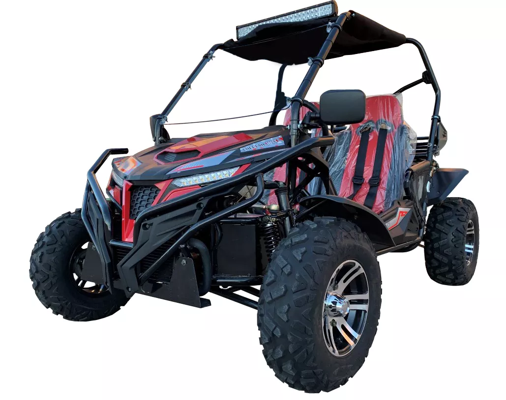 TrailMaster Cheetah 300EX 2-Seat Deluxe UTV | EFI | 17 HP (275cc)
