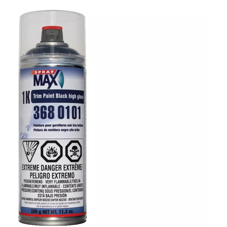 TRIM PAINT GLOSS BLACK