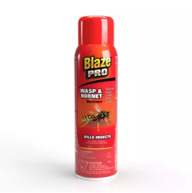 WASP AND HORNET KILLER